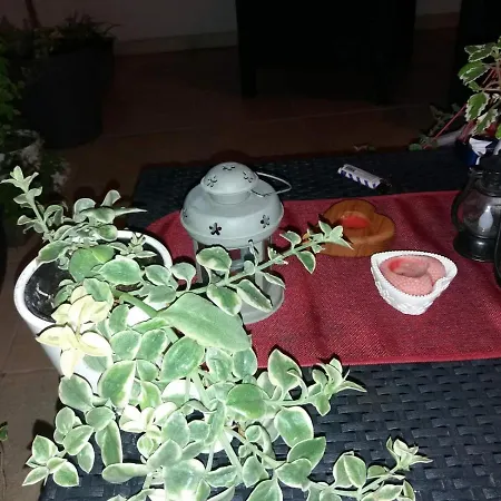 Apartment Jasna