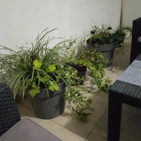 Jasna Apartment *